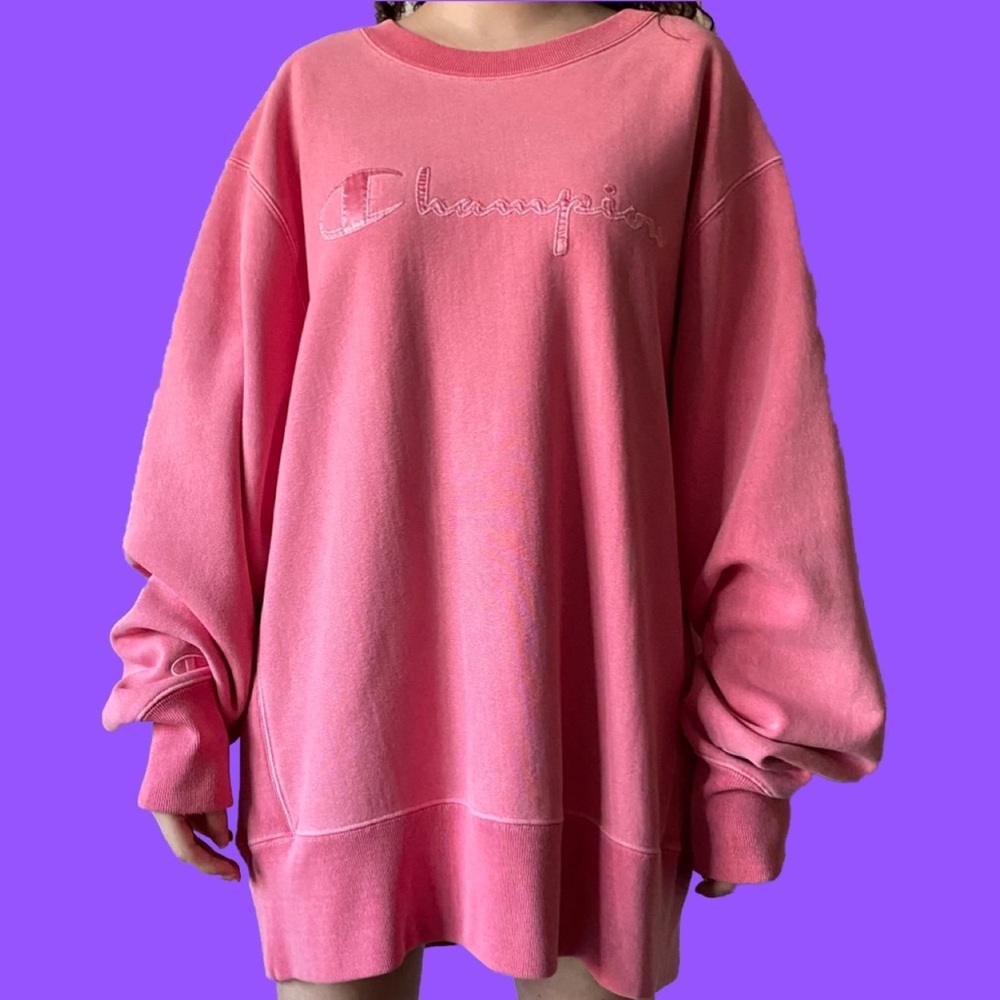 Champion reverse weave sweater